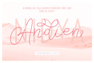Andien Nidya Duo: A Font Duo for Polished Branding