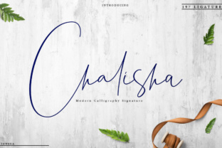Chalisha Font Review: Elegant Script for Campaign Design