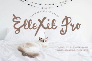 ElleXit Pro: A Script Font That Works in Real Campaigns
