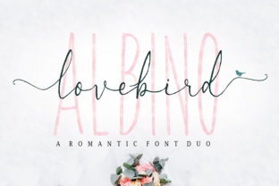 How Lovebird Gave My Small Business a Consistent, Polished Look