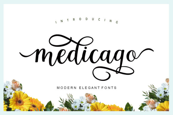 Medicago: A Script Font That Elevates Modern Marketing Design