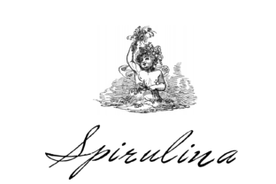 Spirulina Font: A Script Typeface for Digital Brand Storytelling