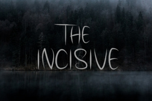 The Incisive Font: A Web Designer’s Verdict for Digital Brands
