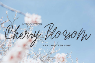 Why Cherry Blossom Typeface Brings Calm to Editorial Design